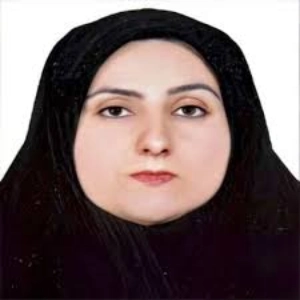اشرف پورعمران بهترین وکیل شیراز