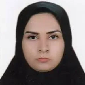 ماندگار عباسی بهترین وکیل زاهدان