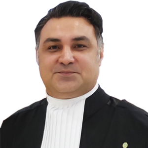 هادی میرزایی یهترین وکیل بندرعباس
