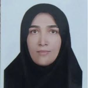 راضیه باقرپور بهترین وکیل بروجرد