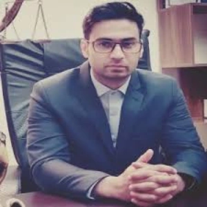محمد صنوبری بهترین وکیل گلستان