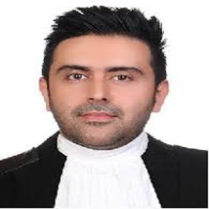 آیدین چهارراهی بهترین وکیل ملکی در کرج