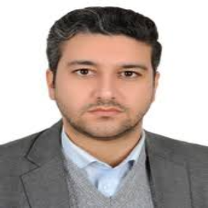 رامین رضایی بهترین وکیل کیفری در کرمانشاه