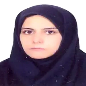 مریم استانستی بهترین وکیل بیرجند