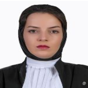 الهام نصیری بهترین وکیل شرکتی در تهران