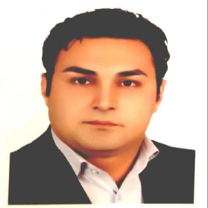 هادی میرزایی بهترین وکیل کیفری در بندرعباس
