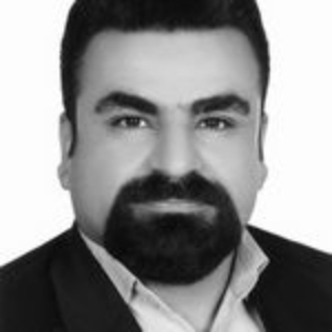 مجتبی محمدی بهترین وکیل ملکی در بندرعباس