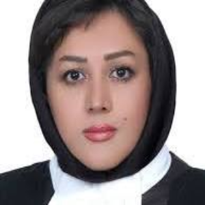 نادیا حمتکش بهترین وکیل زن در بندرعباس